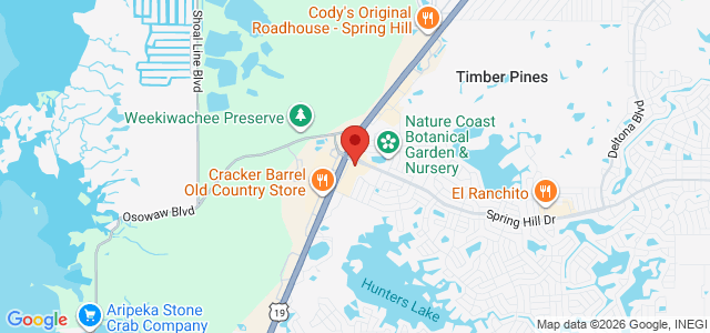 Patricia Lynn Assmann office location map