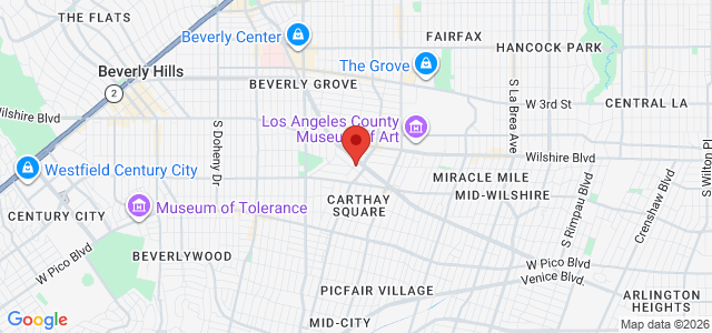 Omid E. Dayan office location map