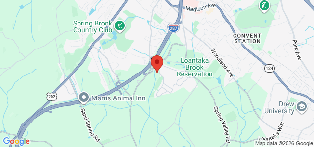 Jordan S. Goldsmith office location map