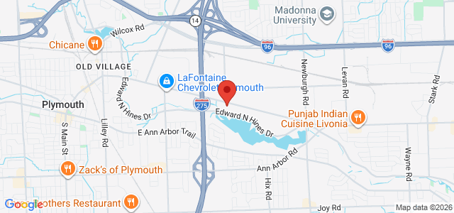 Lisa M. Nedzlek office location map