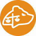 Bear Litigation PLLC